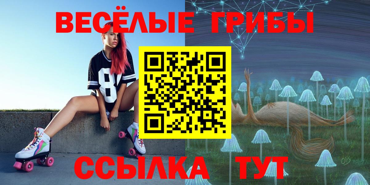 Галлюциногенные грибы MAGIC MUSHROOMS  Вход с VPN  Гай 